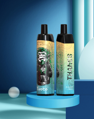 5000 Puffs Großhandel Einweg Vape mit 14ml E-Liquid 650mAh Batterie Mesh Coil Support Anpassen