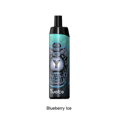 Großhandel Vape Pen 2022 Neues Design Einweg-Vaporizer mit Mesh Coil 14ml E-Liquid 650mAh Akku Blueberry Ice