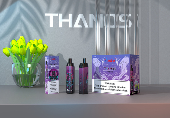 2022 Neue Ankunft Einweg Vape Elektronische Zigarette14ml E-Liquid 650mAh Batterie Traubeneis für Puff Distributoren