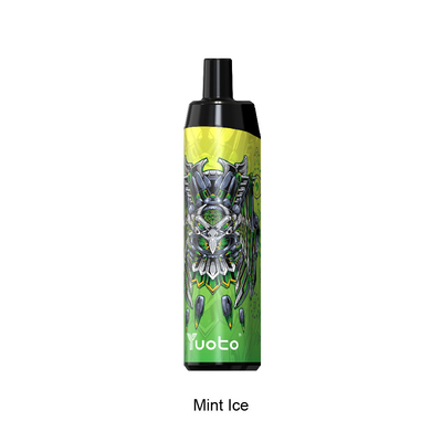 5000 Puffs Einweg-Vape-Rauchzubehör 14 ml Ejuice 650 mAh Batterie Mint Ice für USA UK Spanien Deutschland Frankreich