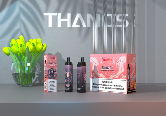 Strawberry Watermelon Ice 5000 Puffs Einweg-Vape-Pod Yuoto Thanos Mesh Coil 14ml Ejuice 650mAh Akku aus China