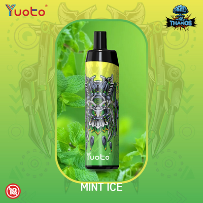 14ml 650mah Mesh Coil Mini Einweg-Vape mit Typ C Schnellversand