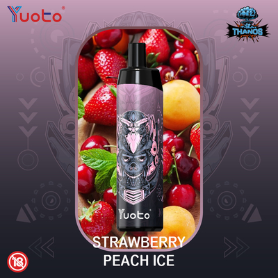 14ml 650mah Mesh Coil Mini Einweg-Vape mit Typ C Schnellversand