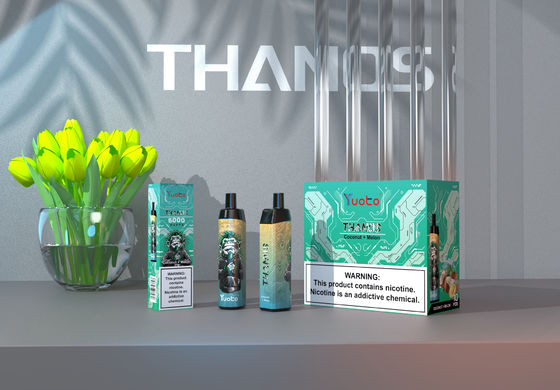 20 heiße Aromen 5000 stößt flüssige Batterie 650mAh Mesh Coil Disposable Vapes 14ml E luft