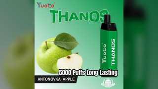 Yuoto Thanos 5000 Puffs langlebiges Gerät